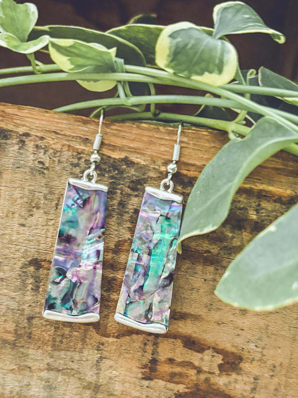 Beautiful Silver and Shell Earrings