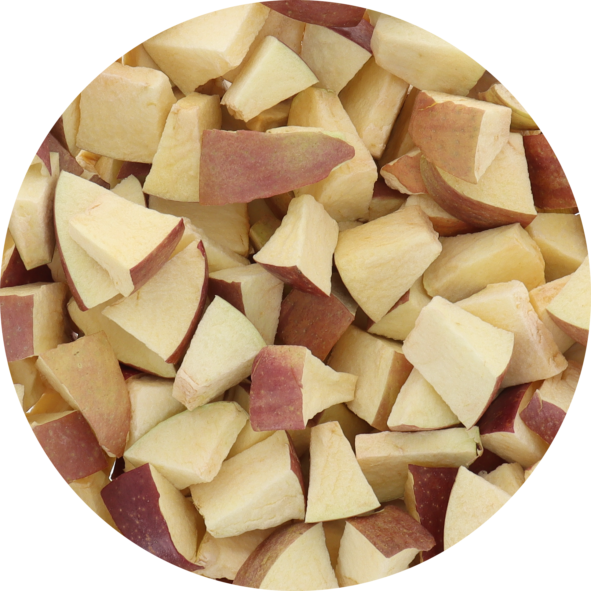 Freeze Dried Fuji Apple Bites