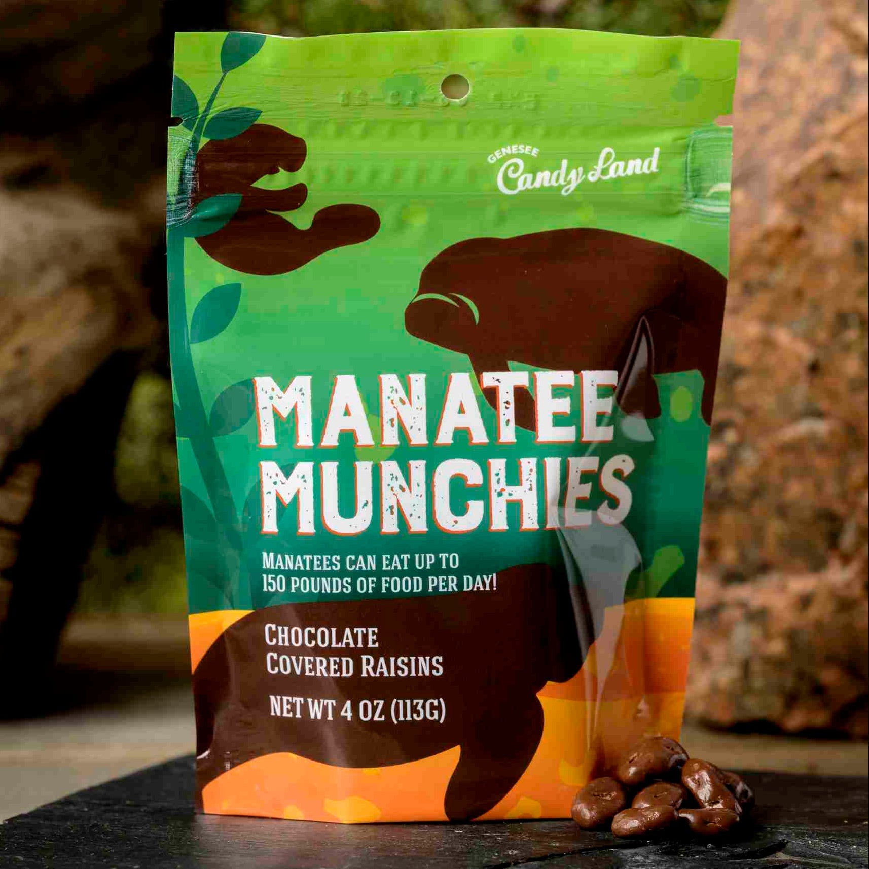 Animal Trackers Ocean Lovers Variety Pack