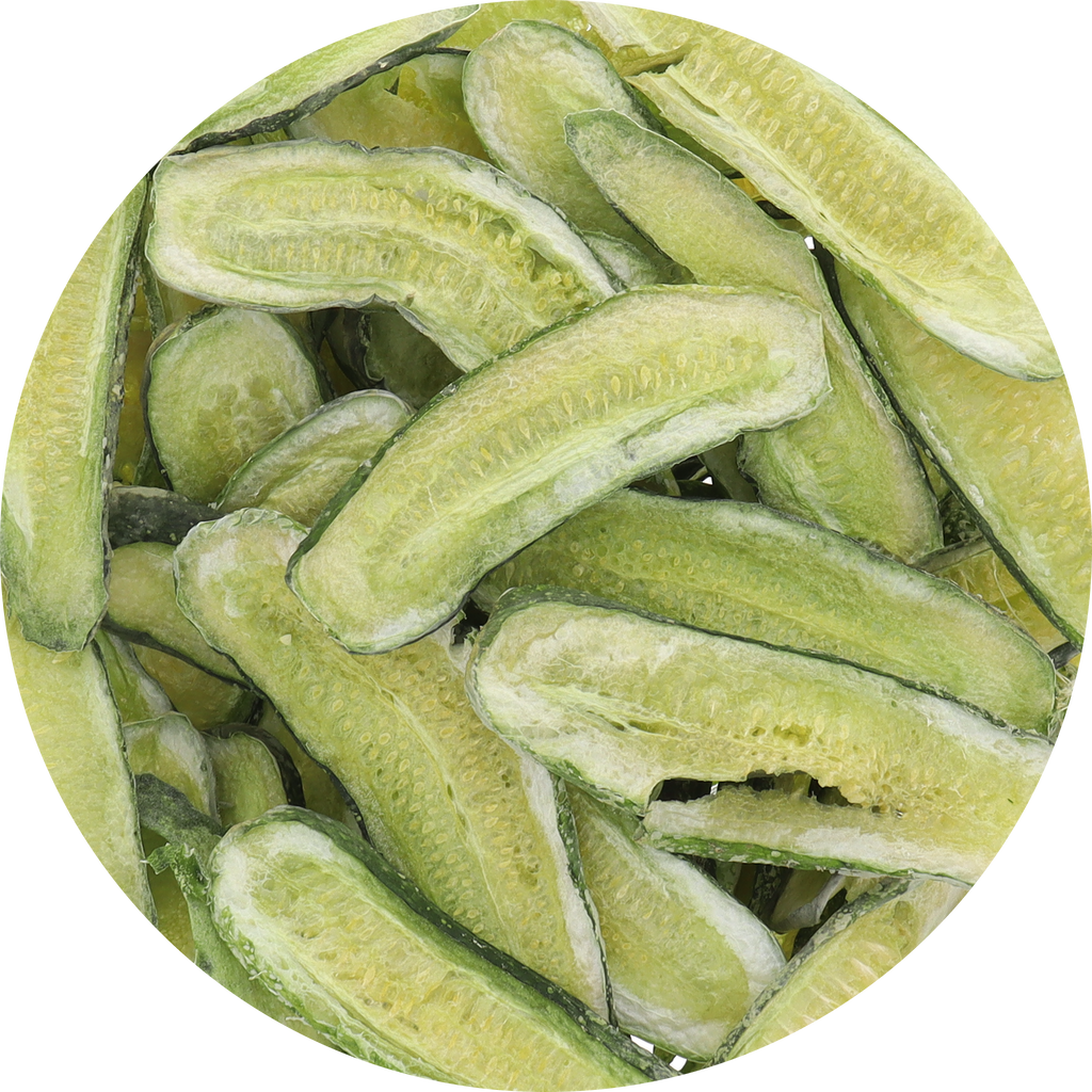Freeze Dried New Pickle Slices from The Pickle Guys (Minimal Salt)
