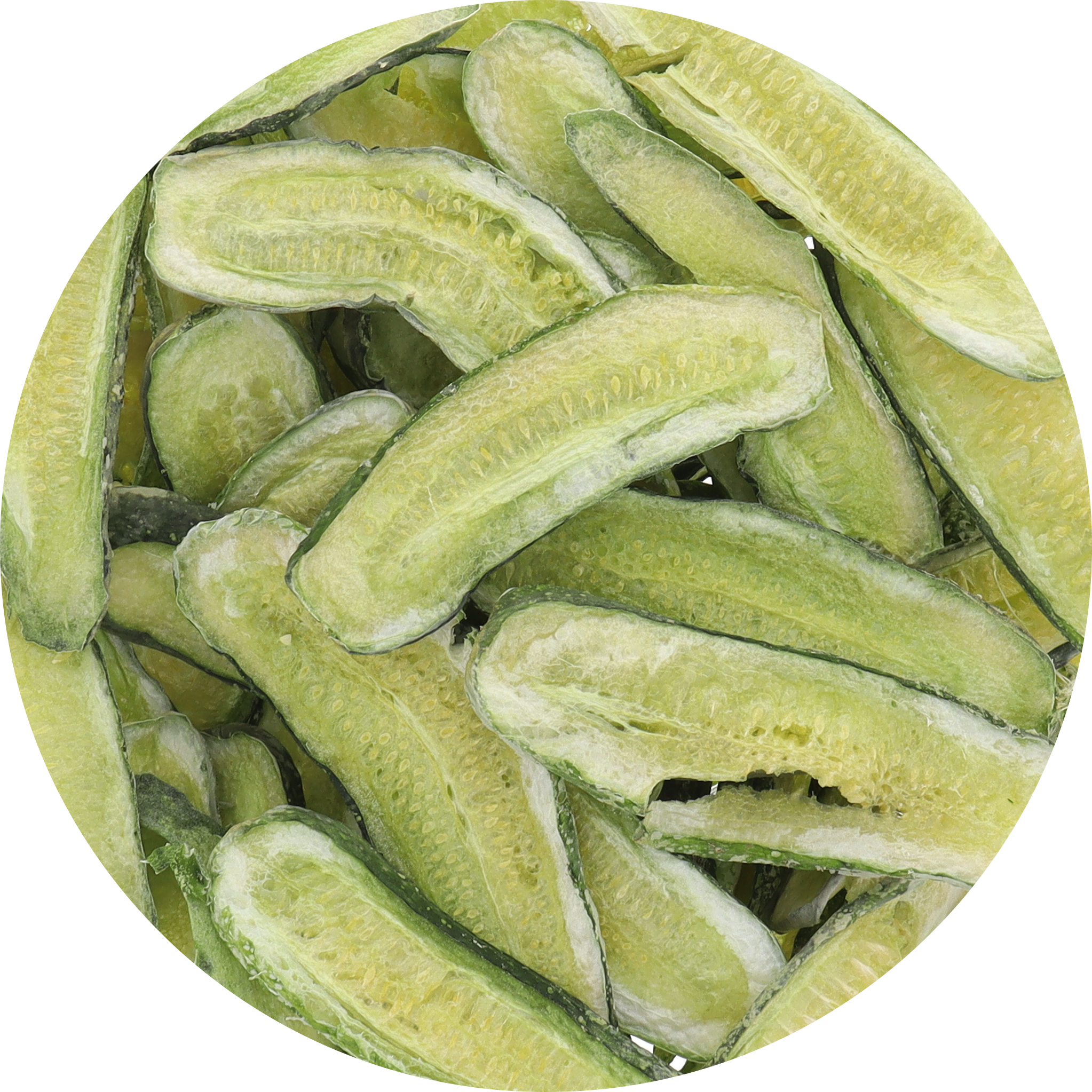 Freeze Dried New Pickle Slices from The Pickle Guys (Minimal Salt)