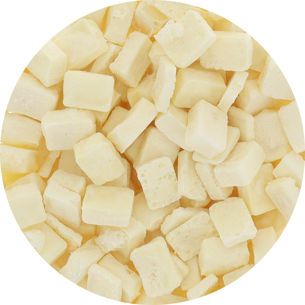 Freeze Dried Premium Belgian White Chocolate
