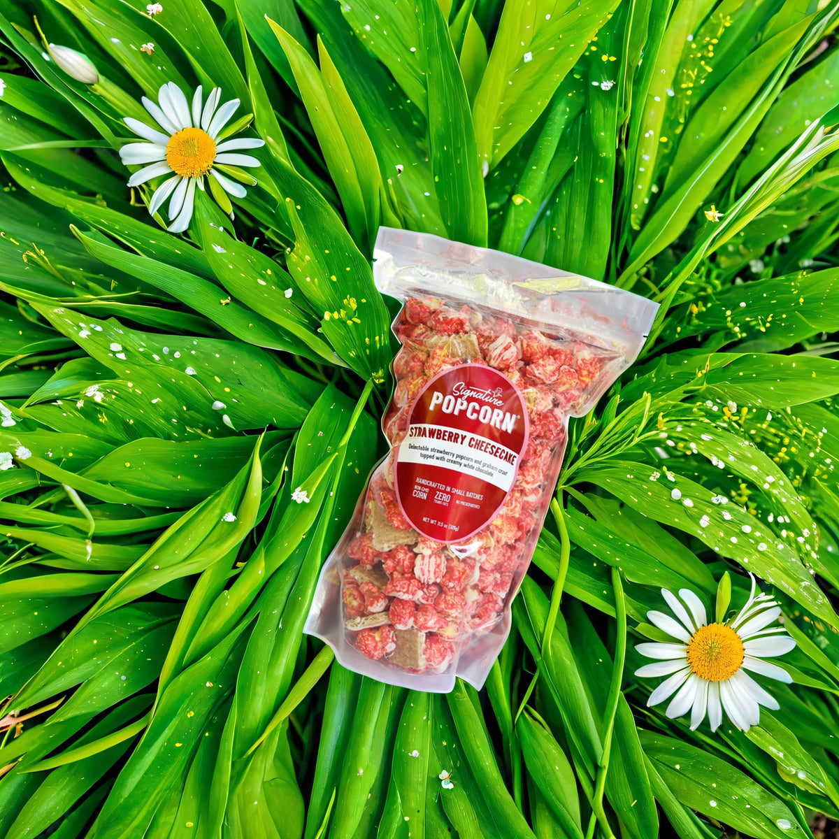 Large Gourmet Strawberry Cheesecake Popcorn Bag