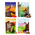 Animal Trackers Forrest Friends Variety Pack