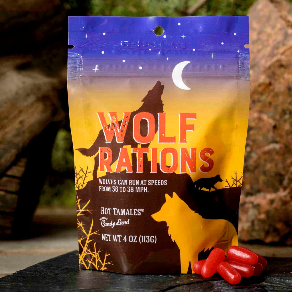 Animal Trackers Forrest Friends Variety Pack