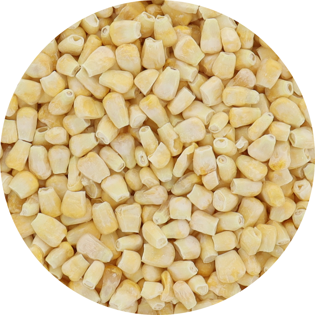Freeze Dried Corn - Mexican Street Flavor