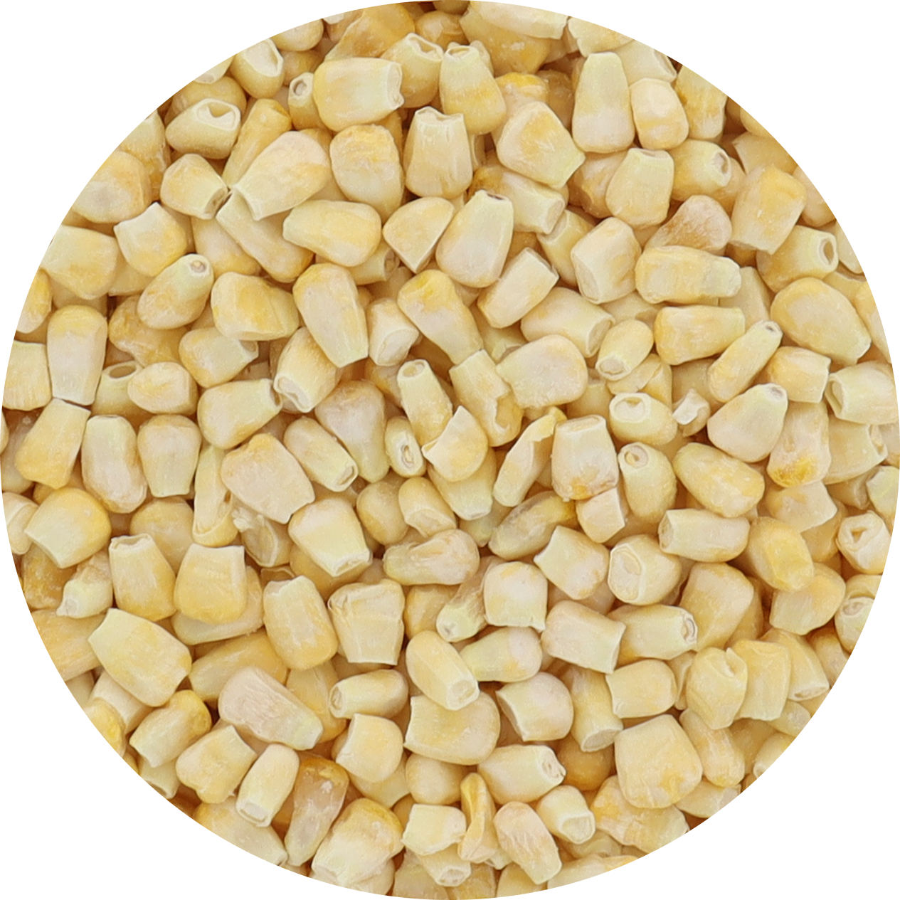 Freeze Dried Corn - Mexican Street Flavor