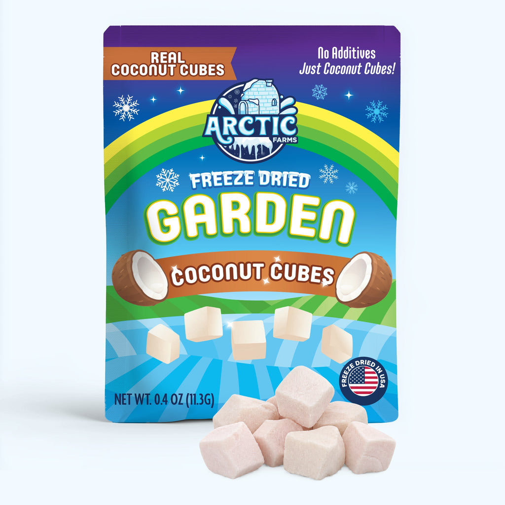 Freeze Dried Coconut Cubes